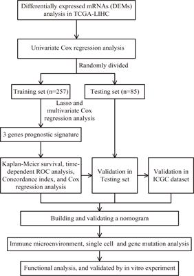 Comprehensive analysis and immune landscape of chemokines- and chemokine receptors-based signature in hepatocellular carcinoma